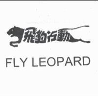 飛豹行動 FLY LEOPARD 及圖