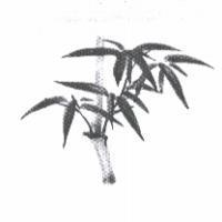 長青禮儀有限公司標章