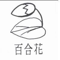 百合花及圖