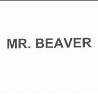 MR. BEAVER