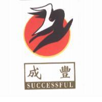 成豐 SUCCESSFUL 及圖