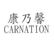 康乃馨 CARNATION