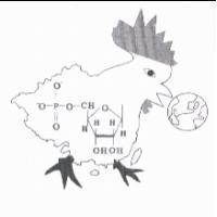 紘笙核甘基因科技股份有限公司