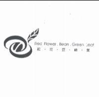 紅花豆綠葉 Red Flower Bean Green Leaf 及圖
