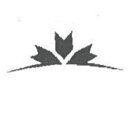 Chevron Design