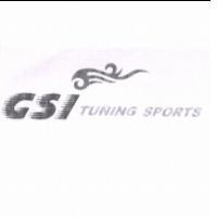 GSI TUNING SPORTS 及圖