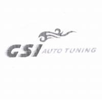 GSI AUTO TUNING 及圖