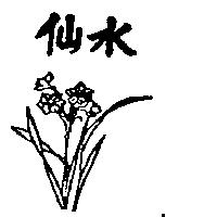 水仙及圖