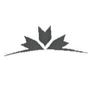 Chevron Design