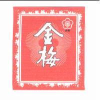 金梅及梅花圖