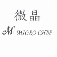 微晶 MICRO CHIP 及圖