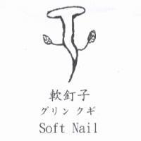 軟釘子 Soft Nail グリンクギ 及圖