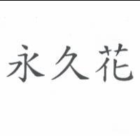 永久花
