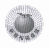 新寶柑橘產區及圖