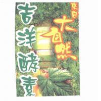 吉洋酵素及圖
