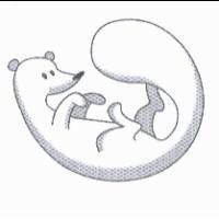 雪貂設計圖