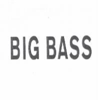 BIG BASS