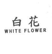 白花 WHITE FLOWER