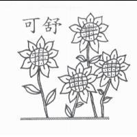 可舒及圖