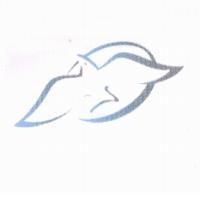 海鷗設計圖