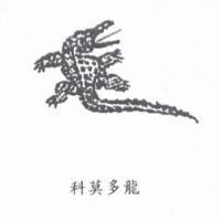 科莫多龍及圖