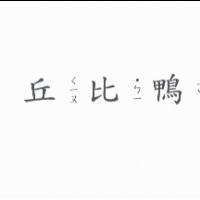丘比鴨