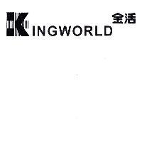 金活及圖 KINGWORLD