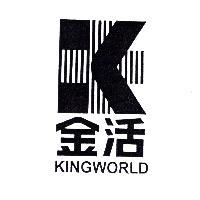金活及圖 KINGWORLD