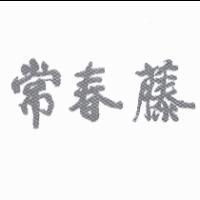 常春藤
