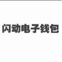 閃動電子錢包