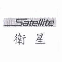 SATELLITE 衛星