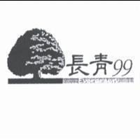 長青 99 Evergreen 及圖