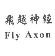 飛越神經 Fly Axon
