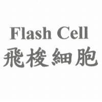 飛梭細胞 Flash Cell