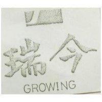 瑞今 GROWING 及圖