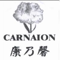 康乃馨及圖 CARNAION