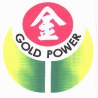 GOLD POWER 金及圖