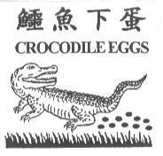 鱷魚下蛋 CROCODILE EGGS 及圖