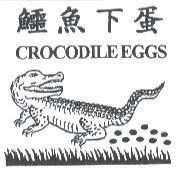 鱷魚下蛋 CROCODILE EGGS 及圖
