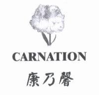 康乃馨及圖 CARNATION