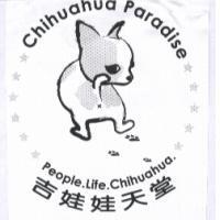 吉娃娃天堂 Chihuahua Paradise People. Life Chihuahua 及圖