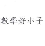 數學好小子