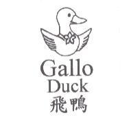 Gallo Duck 飛鴨及圖