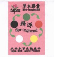 天品 tapen 精源 Springhead 及圖