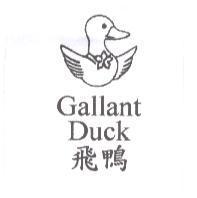 Gallant Duck 飛鴨及圖