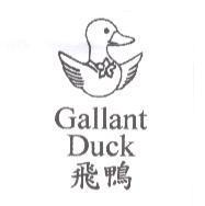 Gallant Duck 飛鴨及圖
