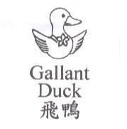 Gallant Duck 飛鴨及圖