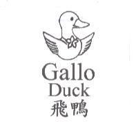 Gallo Duck 飛鴨及圖