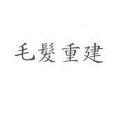毛髮重建
