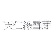 天仁綠雪芽